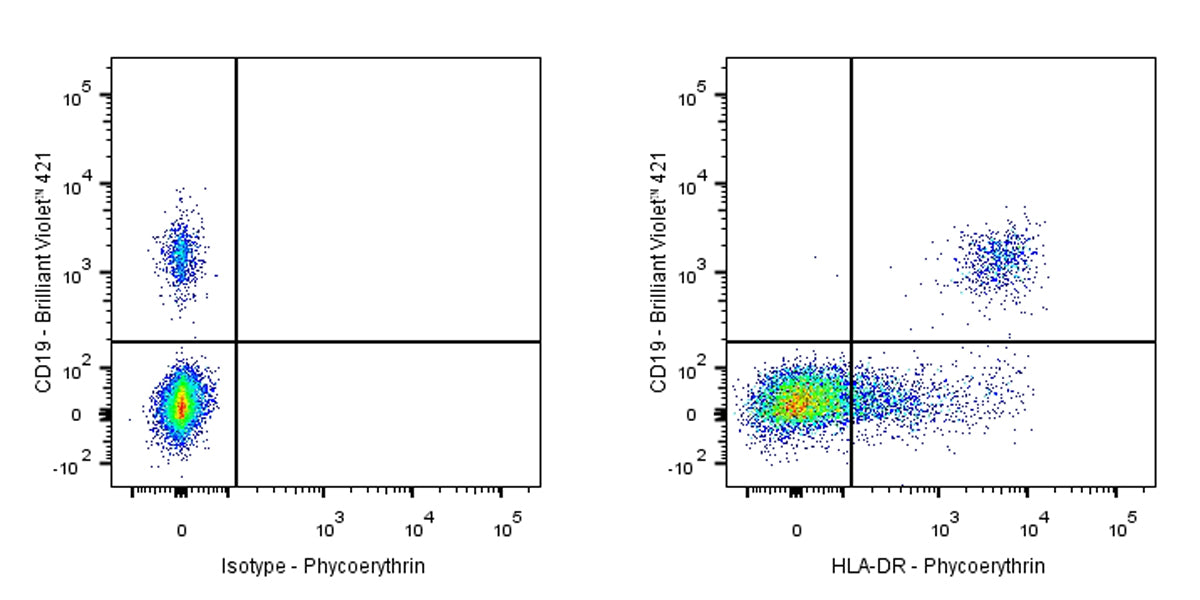 Mouse Anti-Human HLA-DR Antibody (L243)