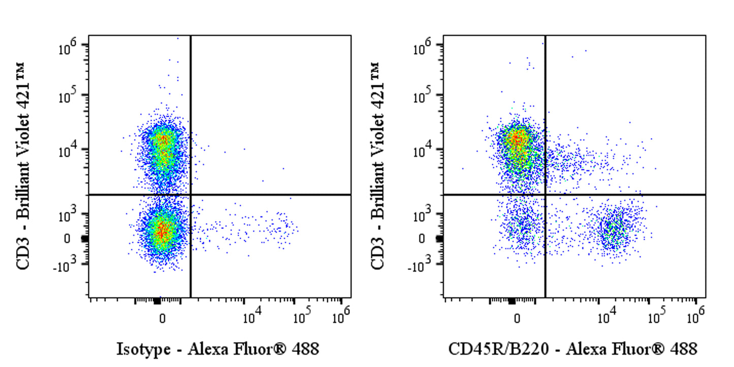 Rat Anti-Mouse CD45R/B220 Antibody (RA3.3A1/6.1)