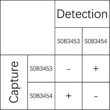 IL-10 Recombinant Rabbit mAb (SDT-088-59)