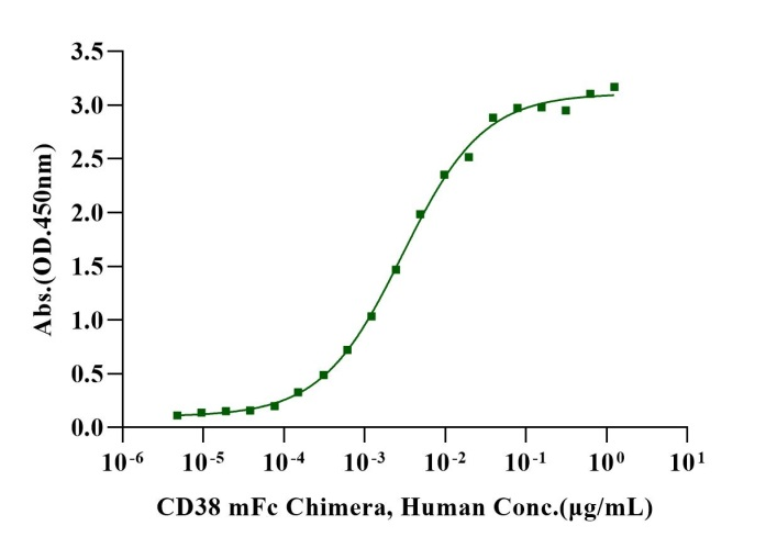 CD38 mFc Chimera Protein, Human