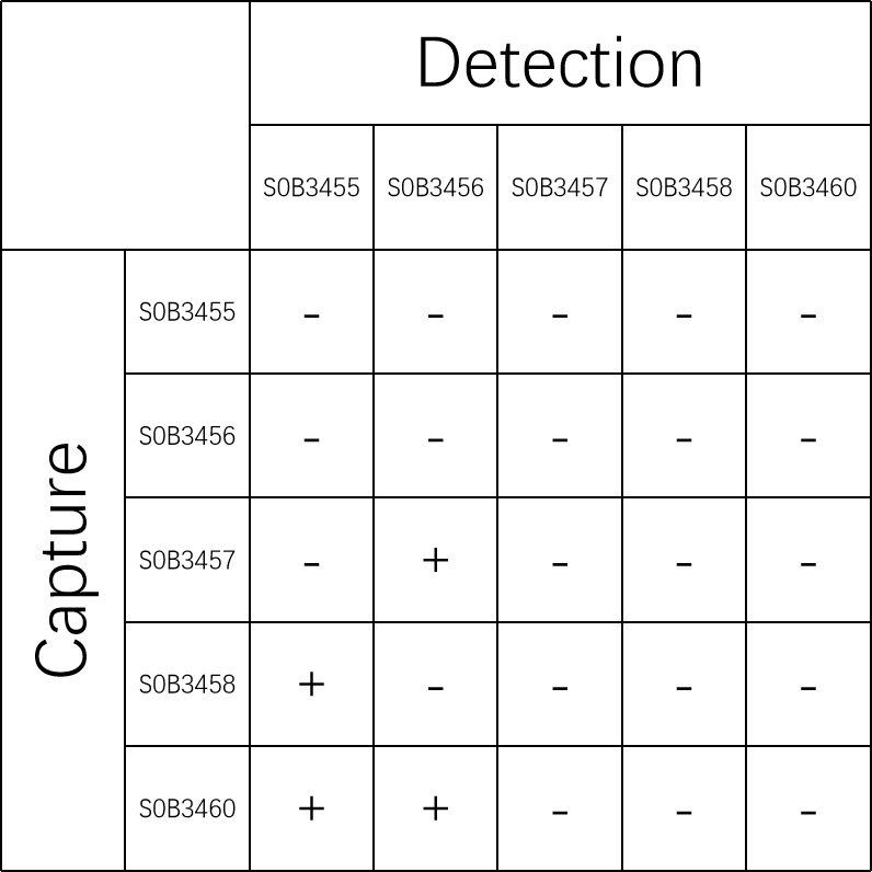 ApoE Recombinant Rabbit mAb (SDT-1849-74)
