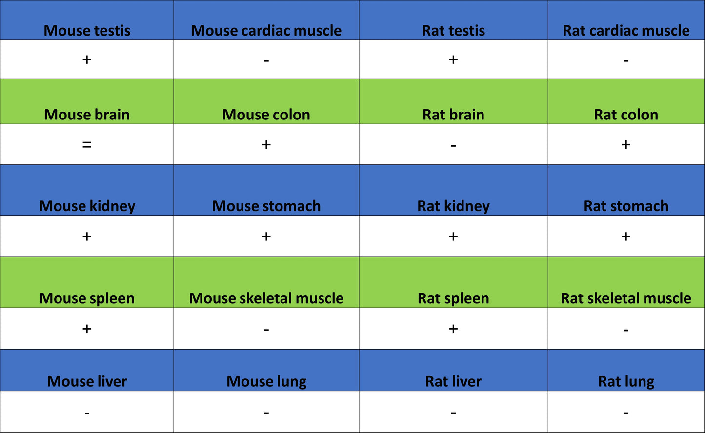 ATAD2 Recombinant Rabbit mAb (S-4145-63)