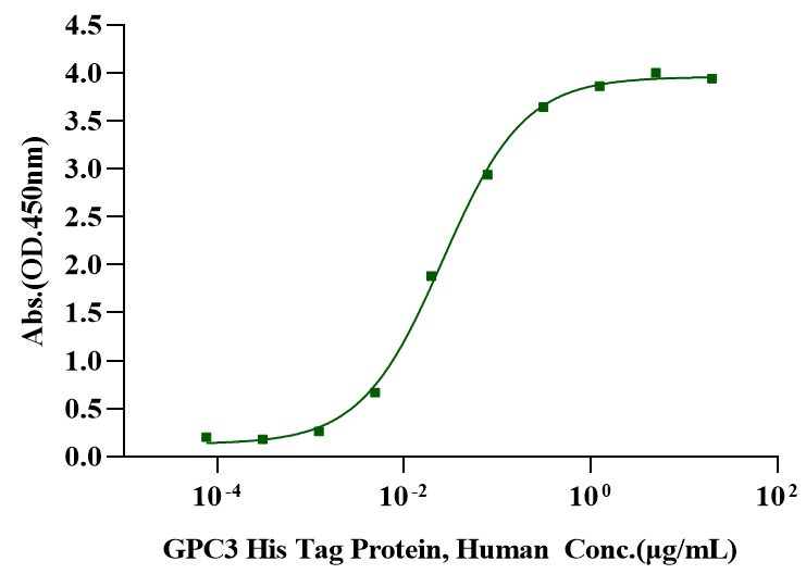 FGF-basic(146aa) Protein, Human