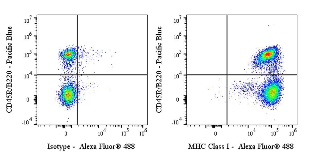 Invivo Anti-Mouse MHC Class I (H-2) Recombinant mAb