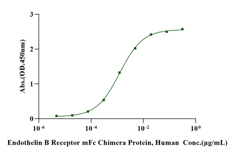 Endothelin B Receptor mFc Chimera Protein, Human