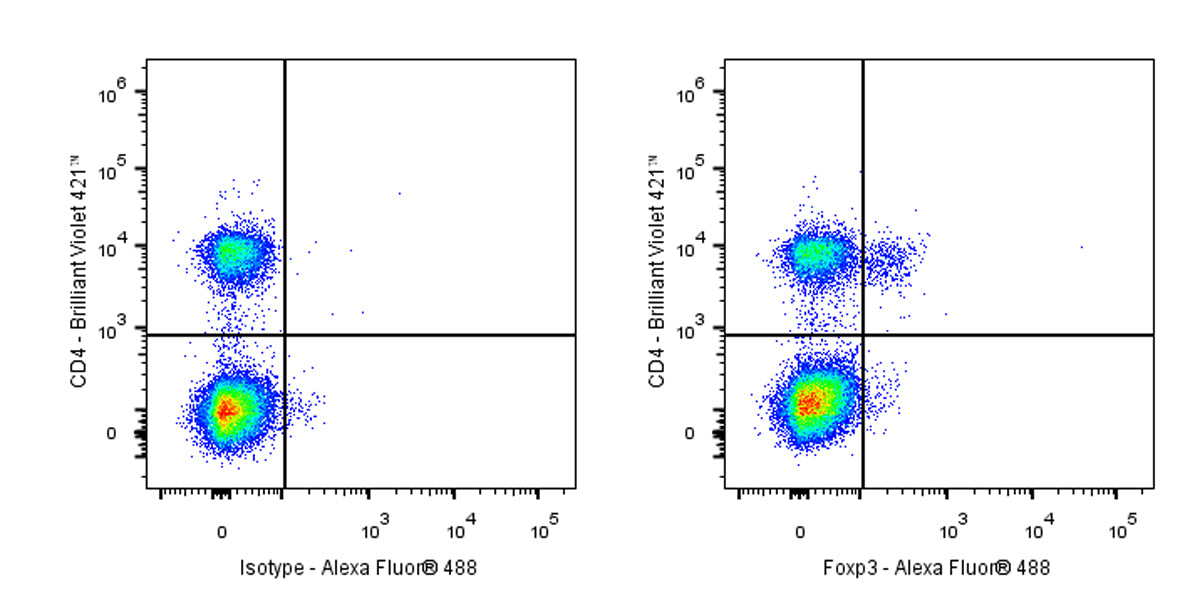 Rat Anti-Mouse FOXP3 Antibody (MF23)