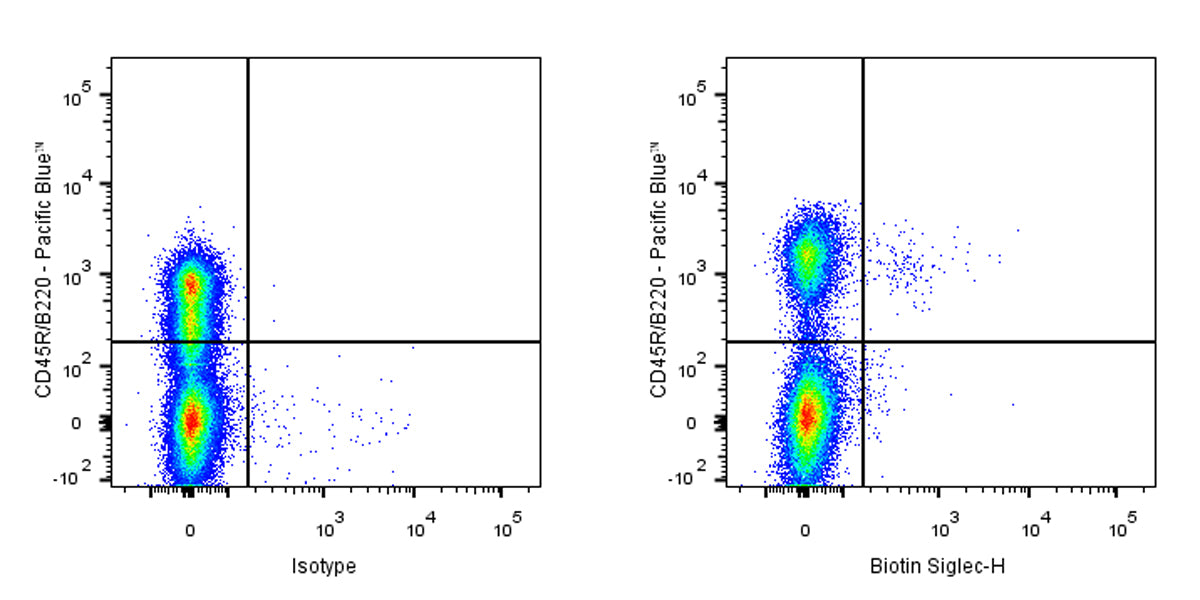 Biotin Rat Anti-Mouse Siglec-H Antibody (S-3779)