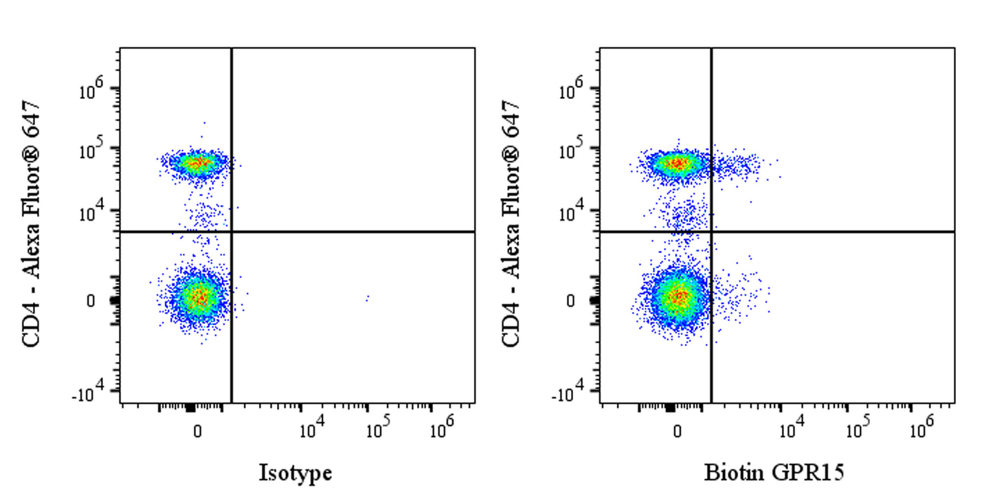 Biotin Mouse Anti-Human GPR15 Antibody (S-3534)