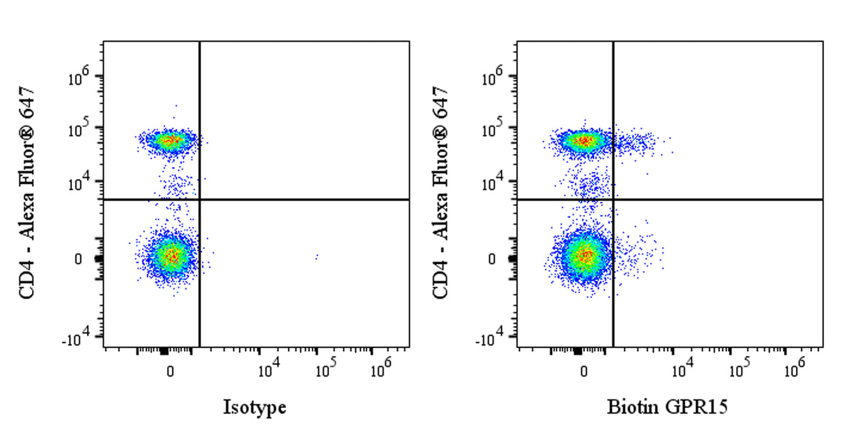 Biotin Mouse Anti-Human GPR15 Antibody (S-3534)