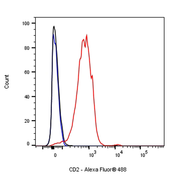 Rat Anti-Mouse CD2 Antibody (RM2-5)