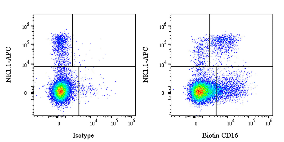 Biotin Rat Anti-Mouse CD16 Antibody (S-5324)