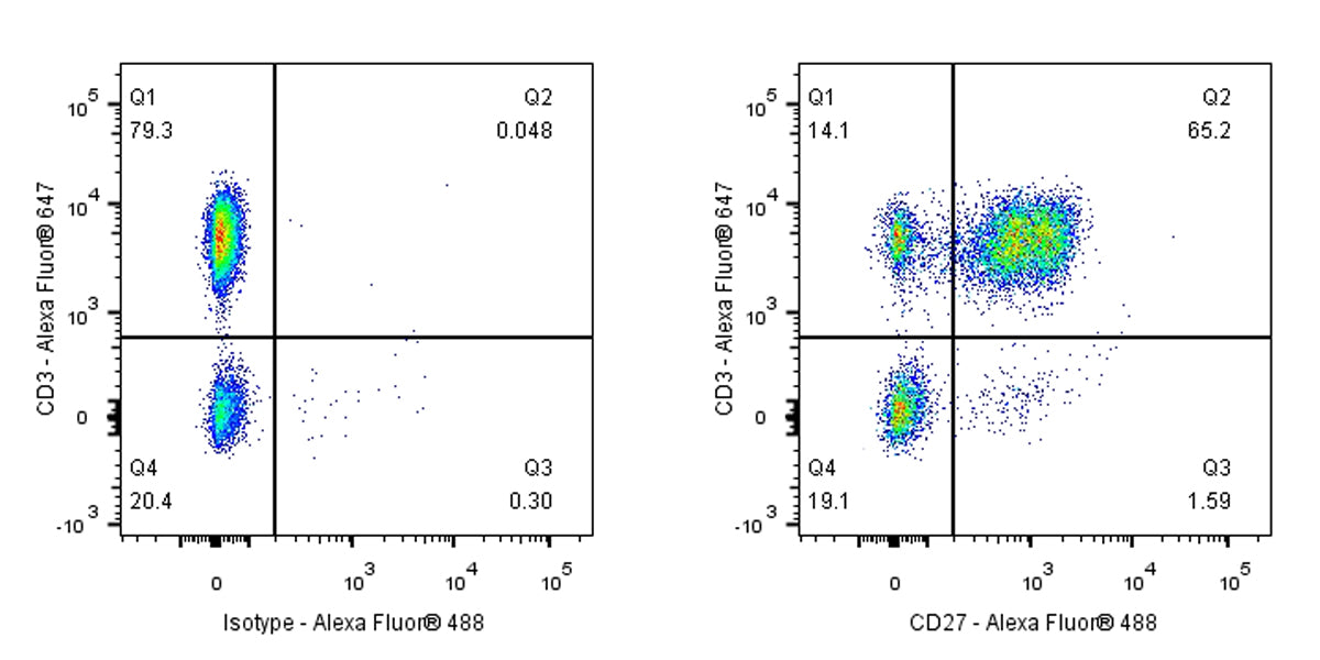 CD27 Mouse mAb (S-568-1)