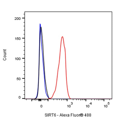 SIRT6 Rabbit Polyclonal Antibody