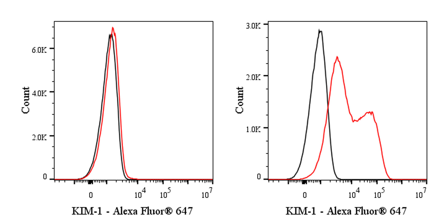KIM-1 Recombinant Rabbit mAb (Alexa Fluor® 647 Conjugate) (S-932-2)