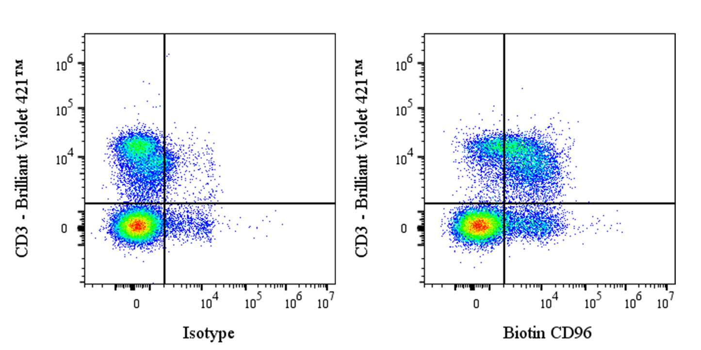 Biotin Rat Anti-Mouse CD96 Antibody (3.3)