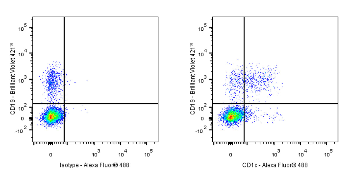 Mouse Anti-Human CD1c Antibody (L161)