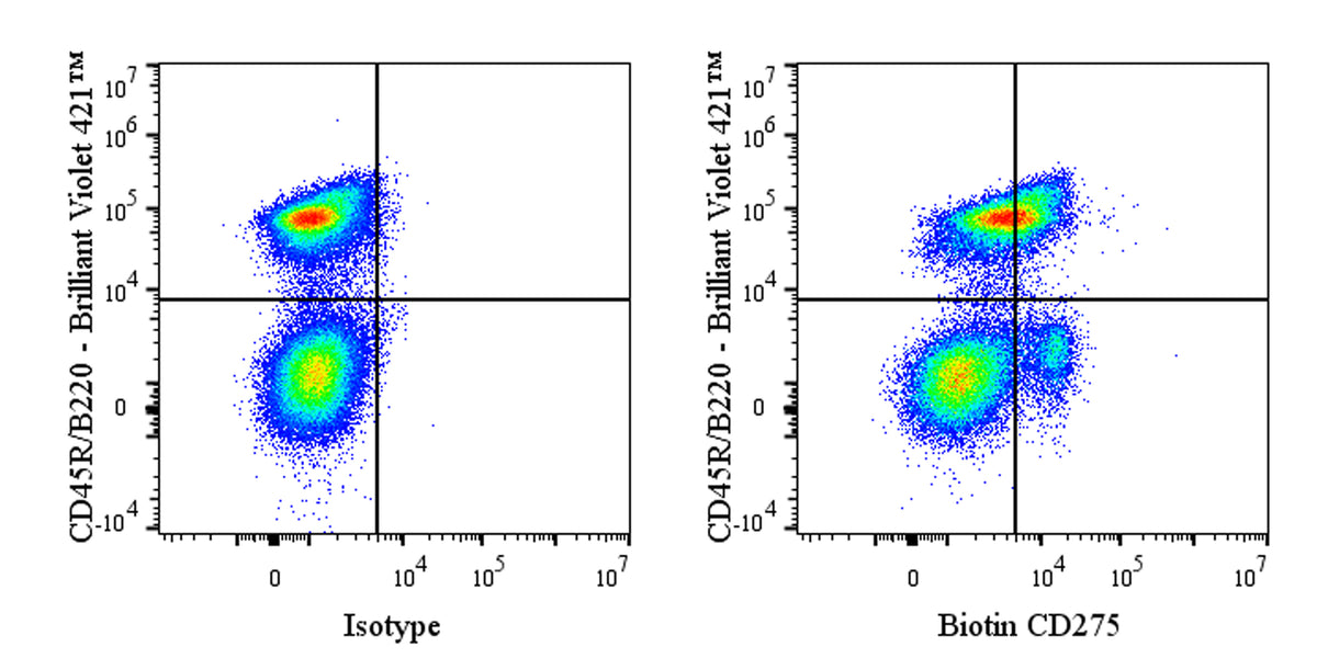 Biotin Rat Anti-Mouse CD275 (B7-H2, B7-RP1, ICOS Ligand) Antibody (HK5.3)