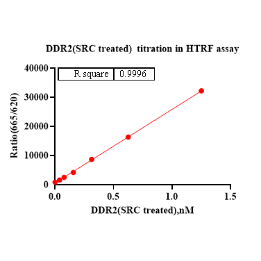 Product image media