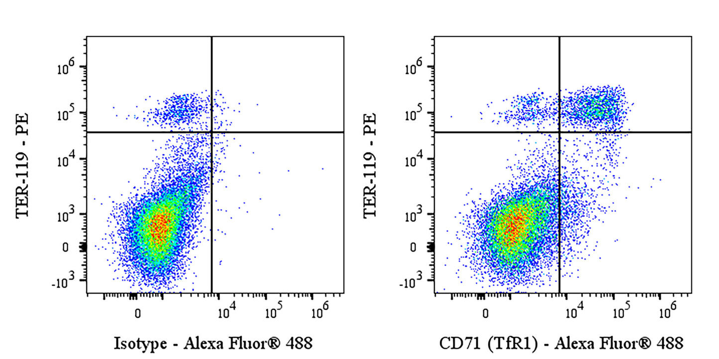 Invivo Anti-Mouse CD71 (TfR1) Recombinant mAb
