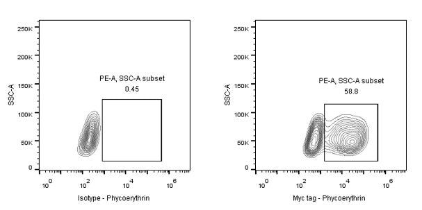 Myc tag Recombinant Rabbit mAb (PE Conjugate) (S-114-13)