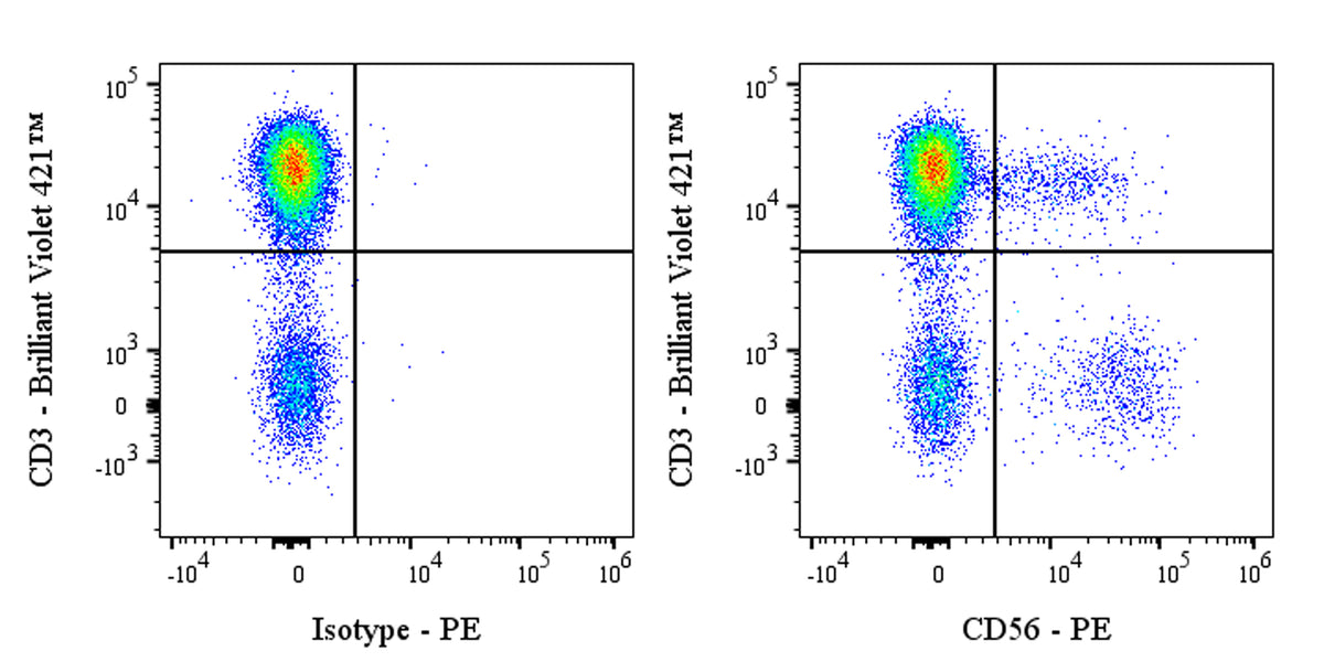 PE Mouse Anti-Human CD56 Antibody (S-5410)