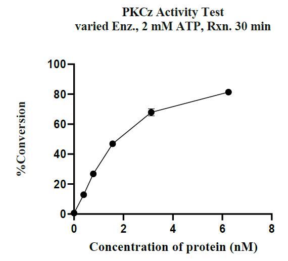 PRKCZ(PKCz) GST Tag Protein, Human
