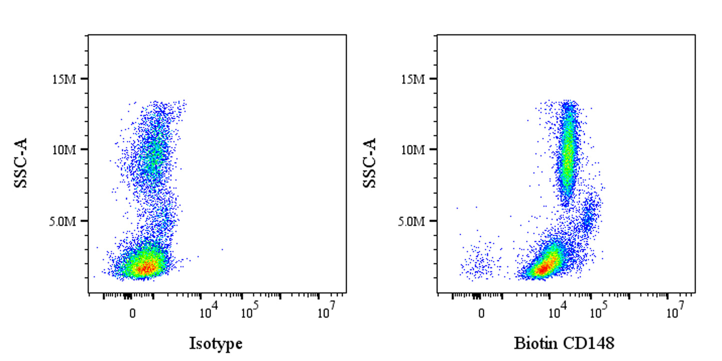 Biotin Mouse Anti-Human CD148 Antibody (S-3121)
