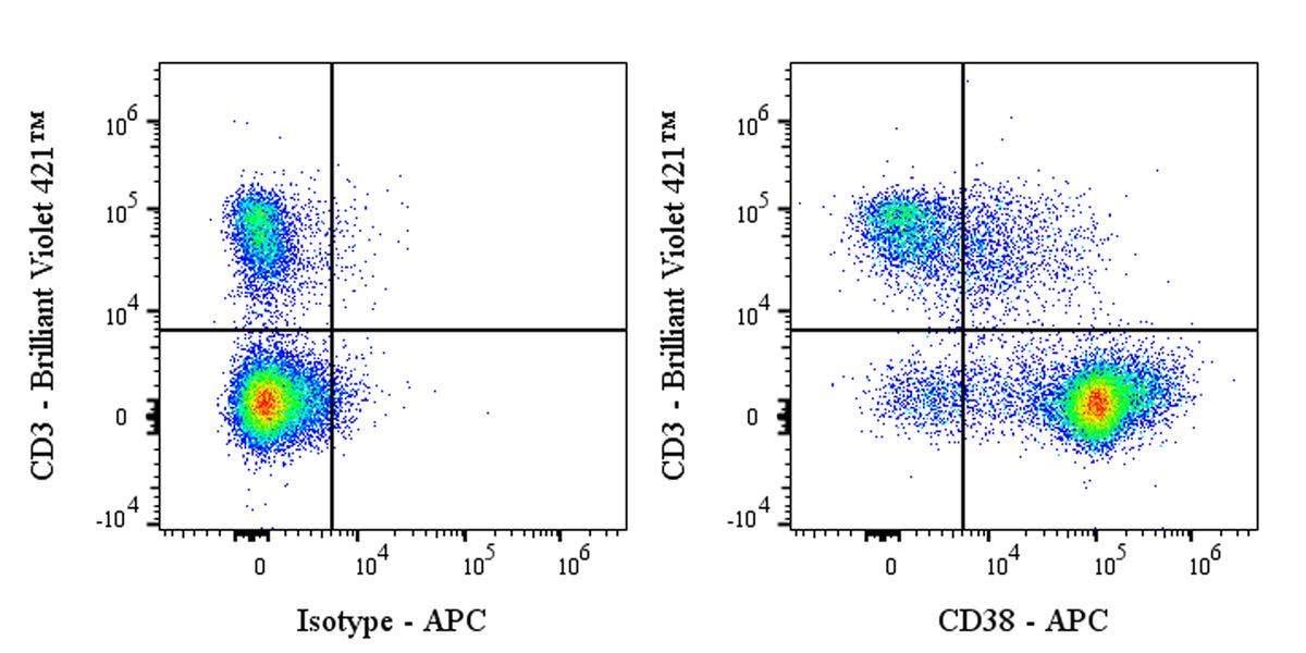APC Rat Anti-Mouse CD38 Antibody (90)