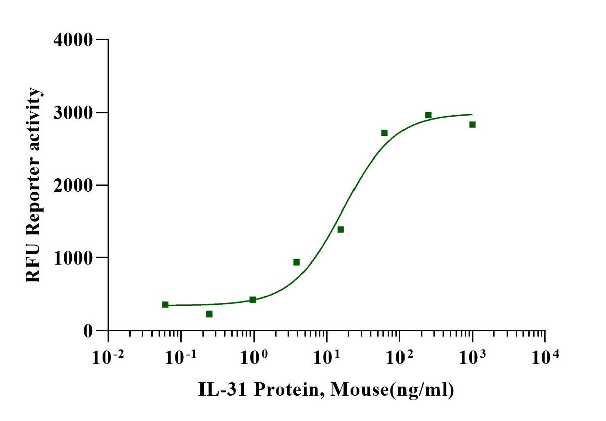 IL-31 Protein, Mouse
