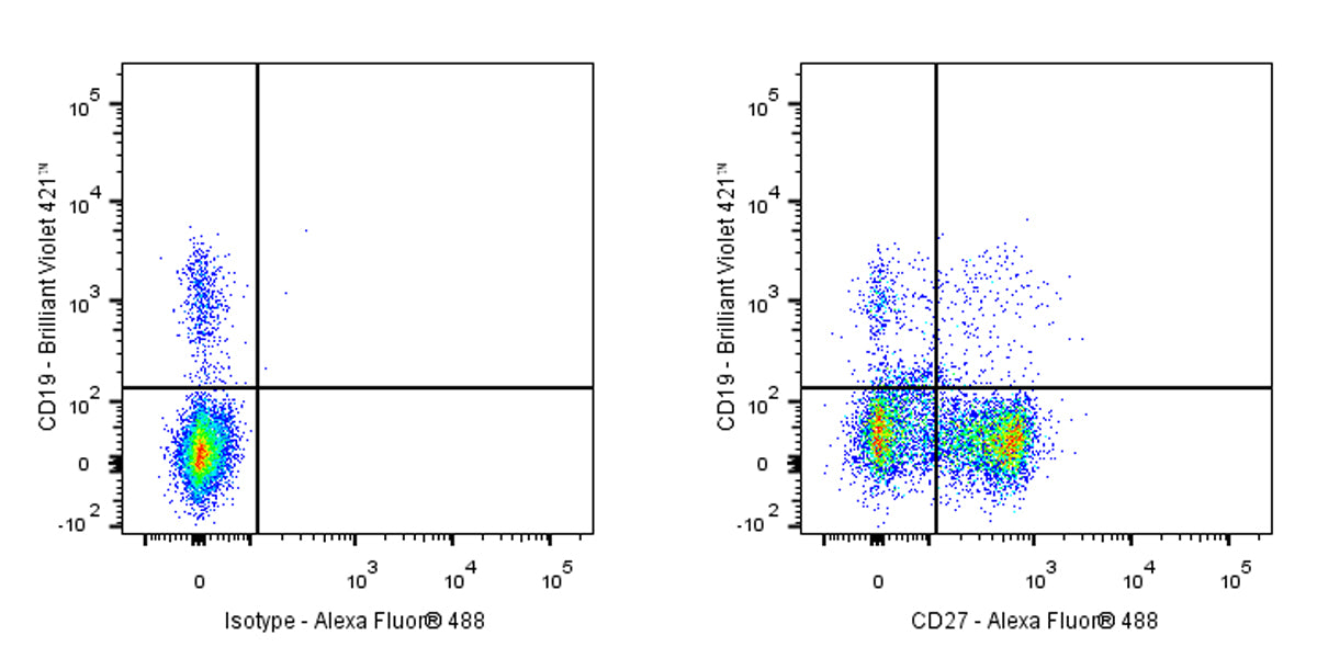 Alexa Fluor® 488 Armenian hamster Anti-Mouse/Rat/Human CD27 Antibody (S-R620)