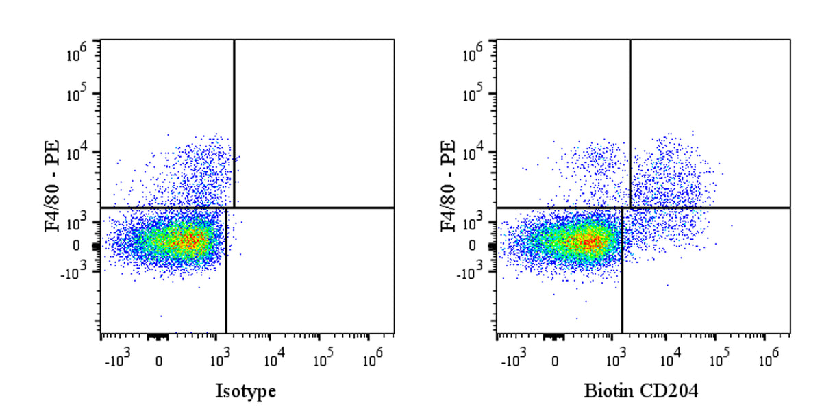 Biotin Rat Anti-Mouse CD204 Antibody (S-R712)