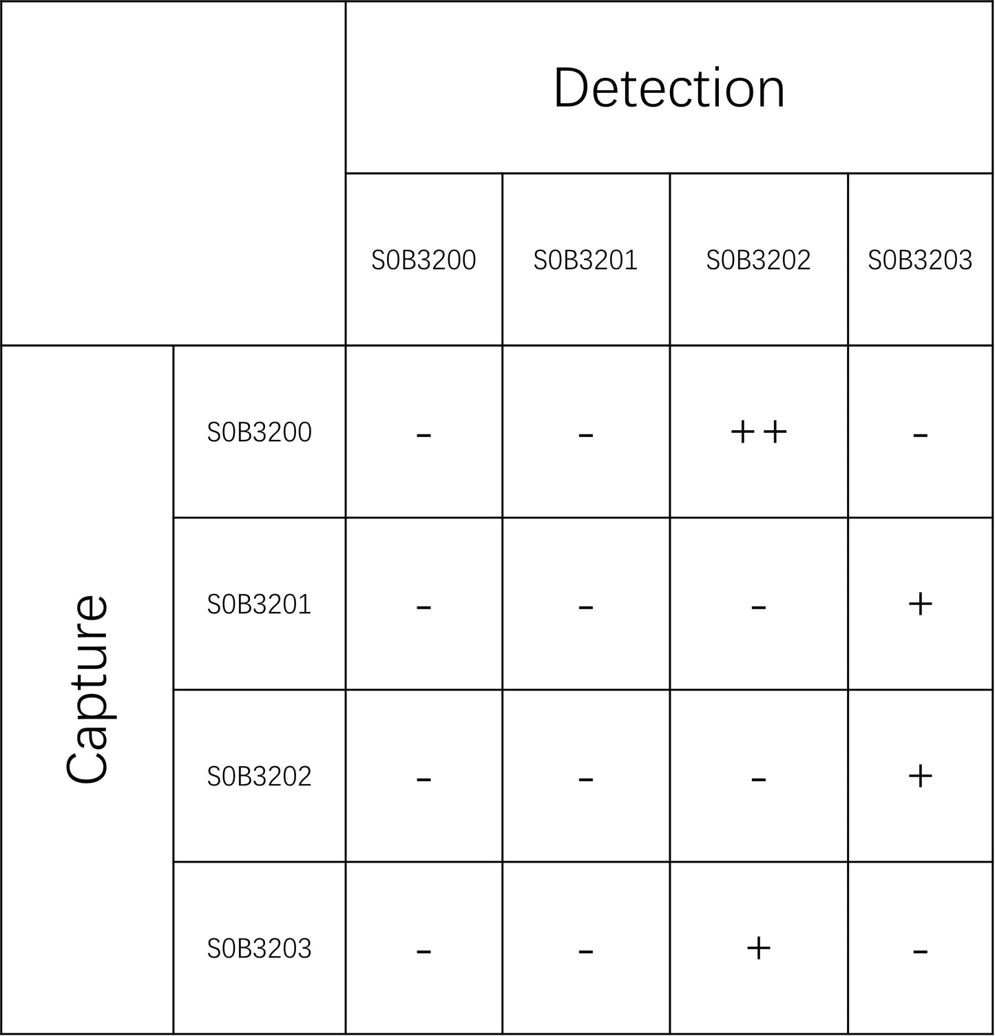 Feline Immunodeficiency Virus (FIV p24) Recombinant Rabbit mAb (SDT-562-114)