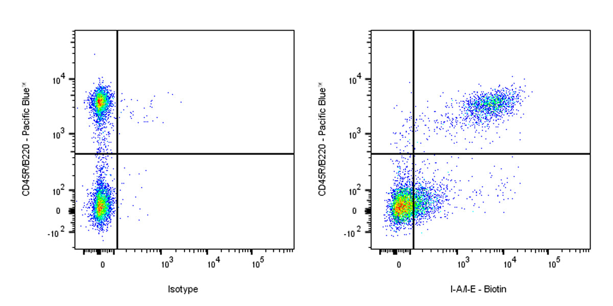 Biotin Rat Anti-Mouse I-A/I-E Antibody (S-R512)