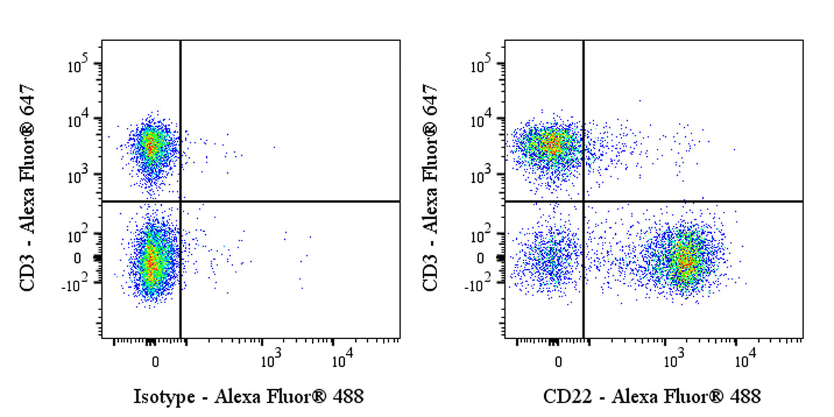 Alexa Fluor® 488 Mouse Anti-Mouse CD22 Antibody (Cy34.1)