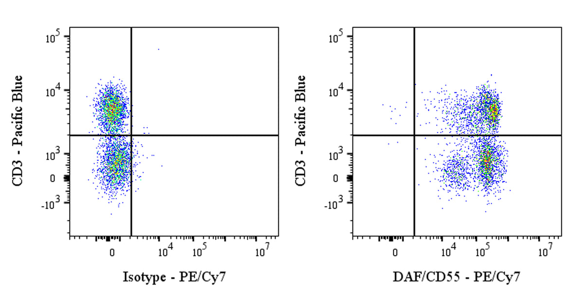 PE-Cy7 Mouse Anti-Human DAF/CD55 Antibody (S-628-48)