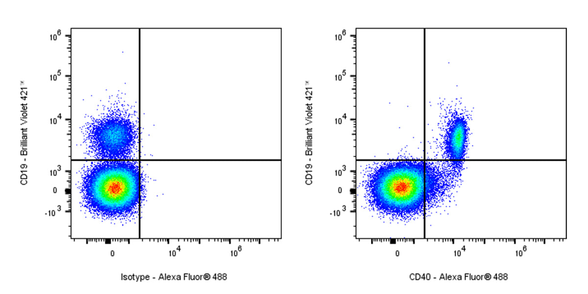 Alexa Fluor® 488 Mouse Anti-Human CD40 Antibody (HI40a)