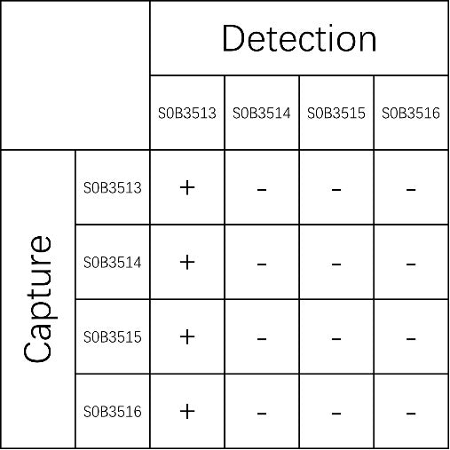 Mouse IgM Recombinant mAb (SDT-2061-24)