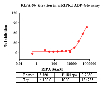 RIPK1 Protein, Rat