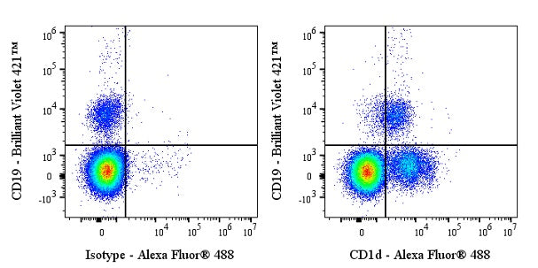 Alexa Fluor® 488 Mouse Anti-Human CD1d Antibody (51.1)