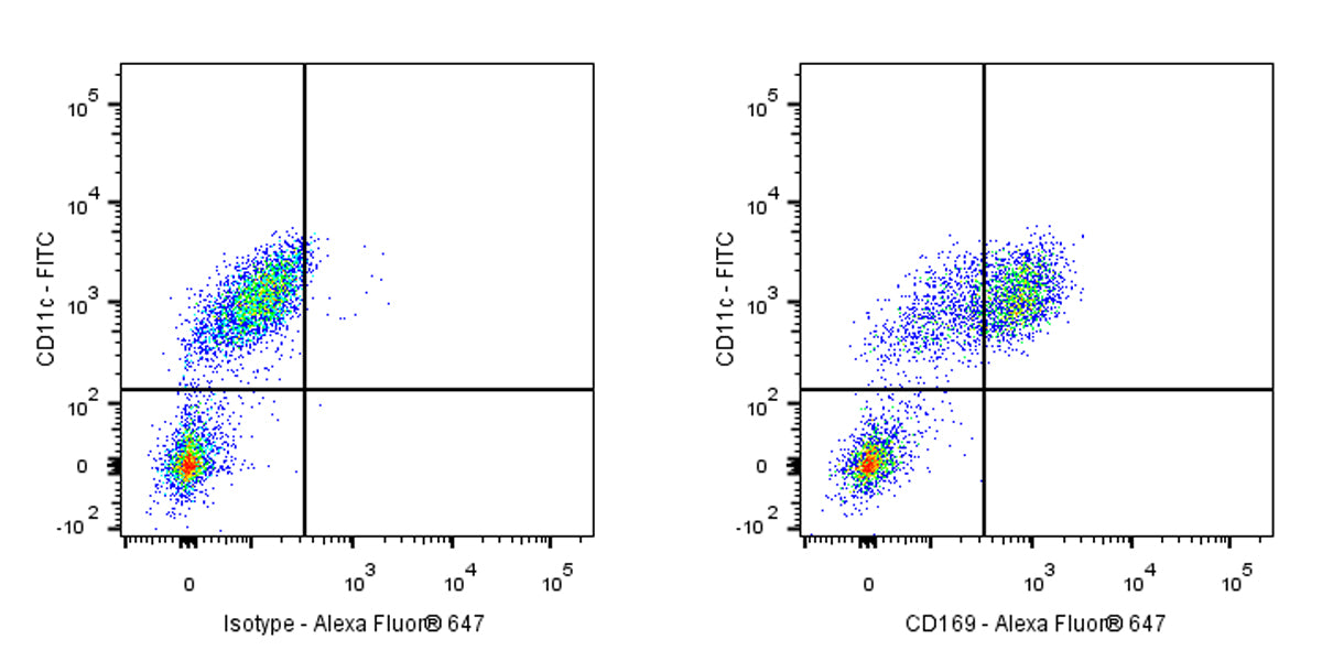 Mouse Anti-Human CD169 Antibody (S-2972)