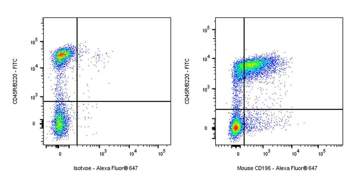 Alexa Fluor® 647 Armenian hamster Anti-Mouse CD196 Antibody (S-R621)