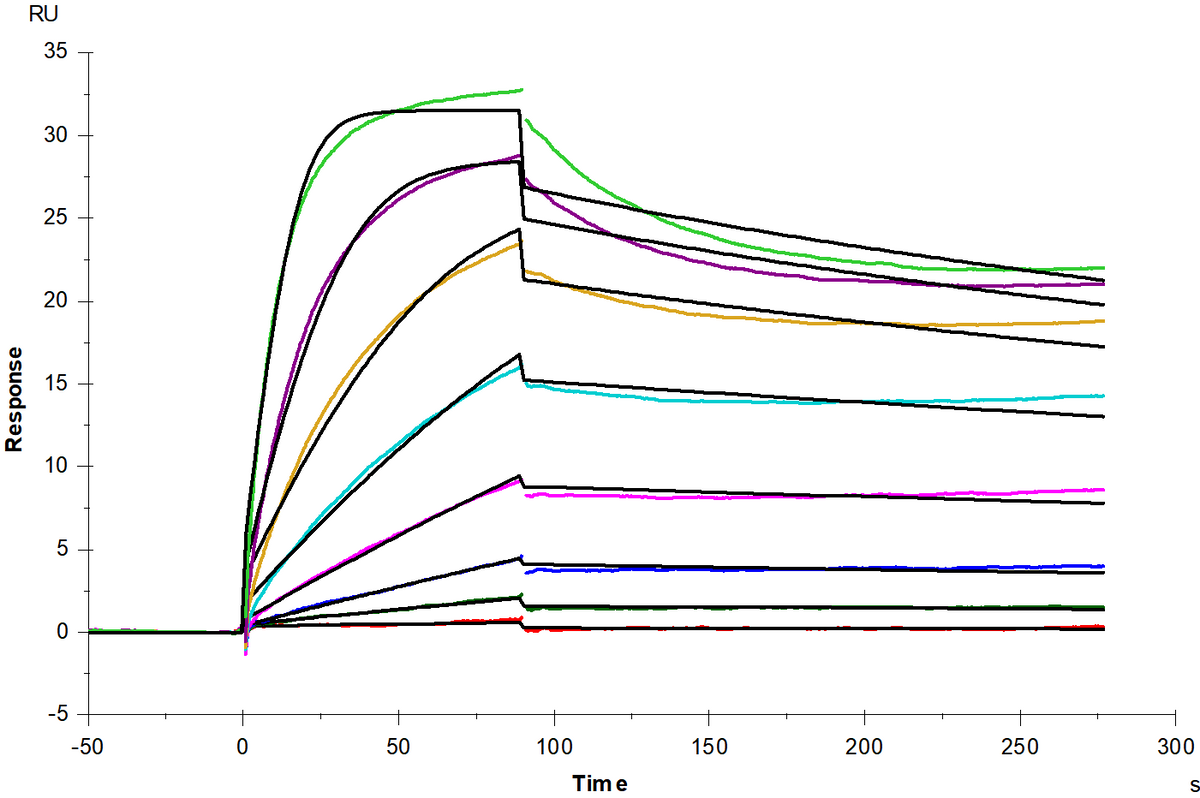 TNFR-2/CD120b His Tag Protein, Cynomolgus
