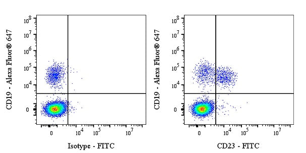 FITC Mouse Anti-Human CD23 Antibody (EBVCS-5)