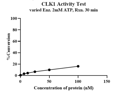 CLK1 GST&His Tag Protein, Human