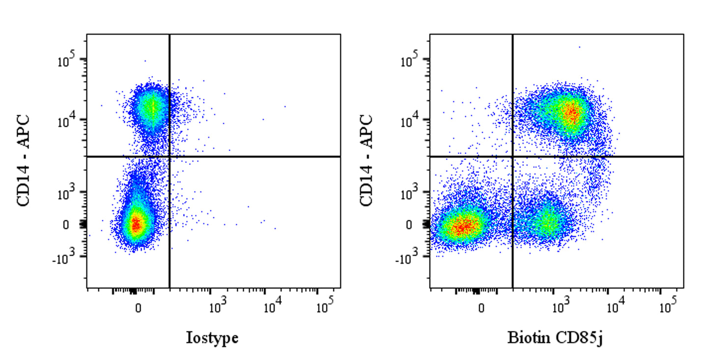 Biotin Mouse Anti-Human CD85j Antibody (GHI/75)