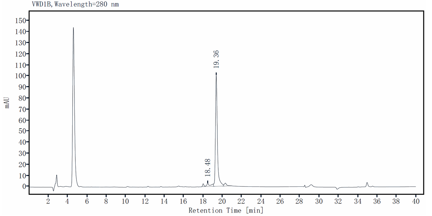 ACSS2 GST Tag Protein, Human