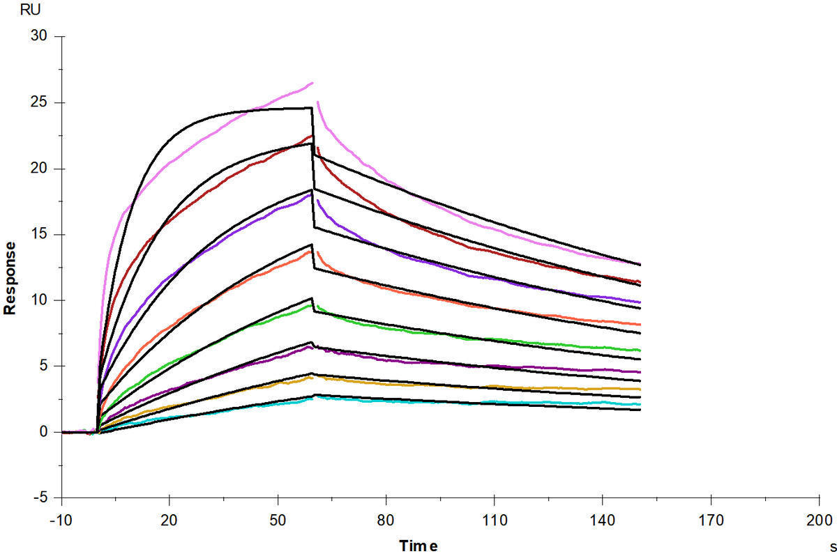 FGF-R1/CD331 His Tag Protein, Human