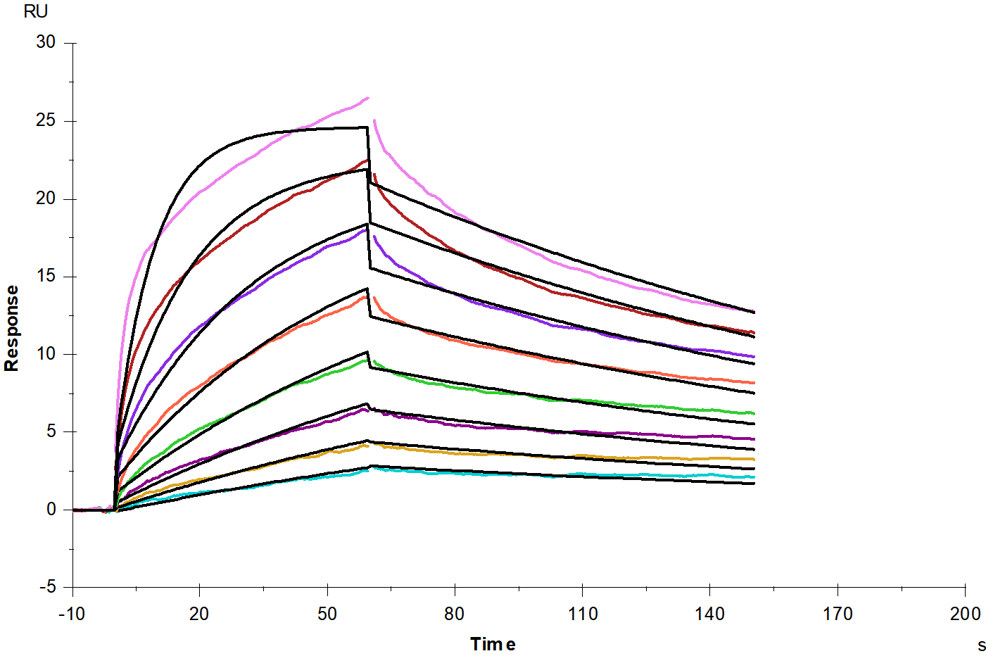 FGF-R1/CD331 His Tag Protein, Human