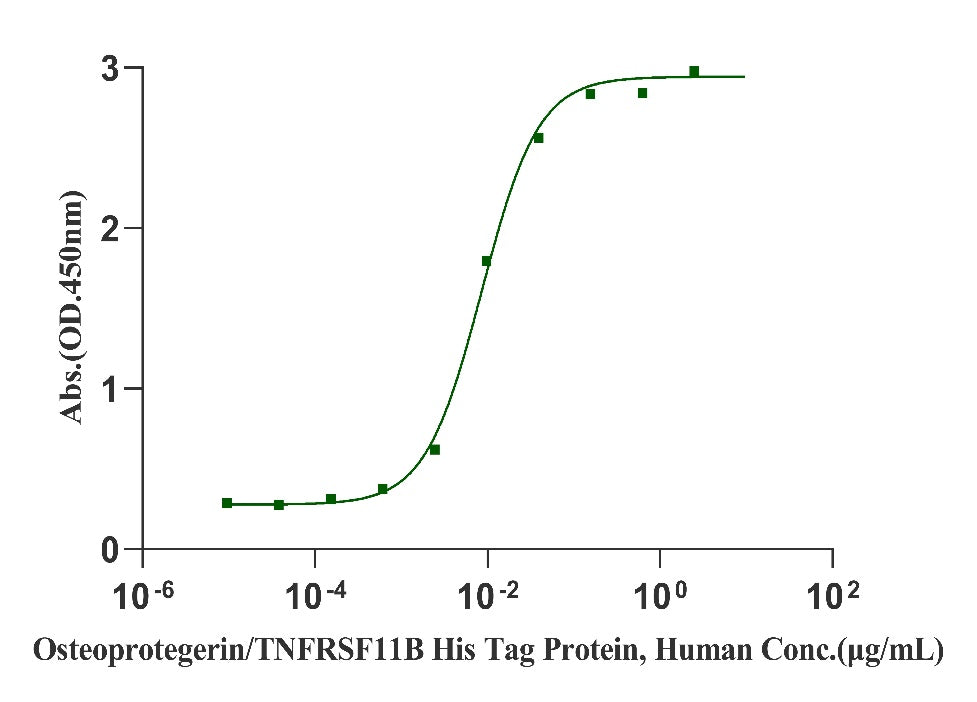 Osteoprotegerin/TNFRSF11B His Tag Protein, Human