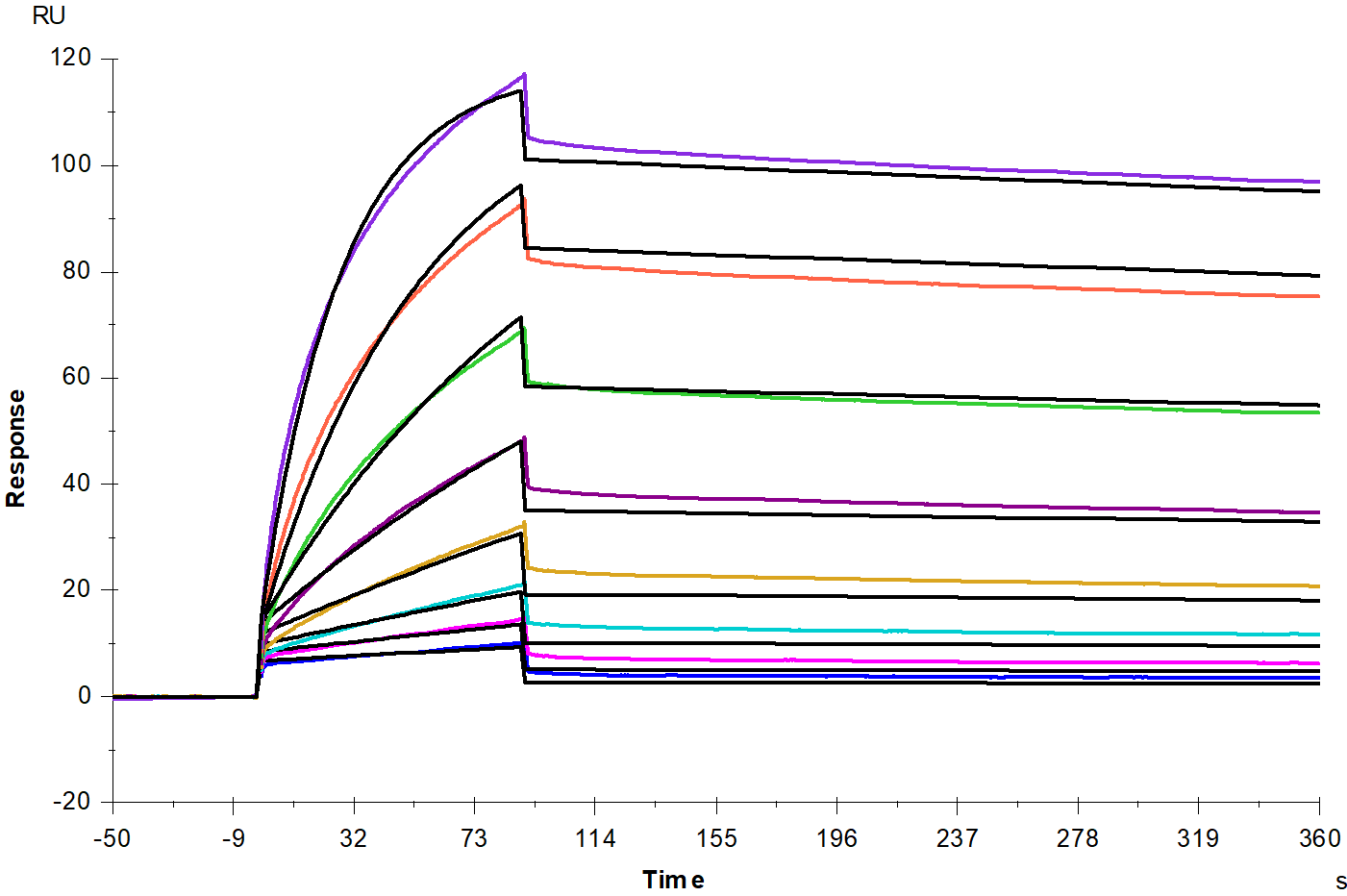 4-1BB Ligand/TNFSF9 His Tag Protein, Rat